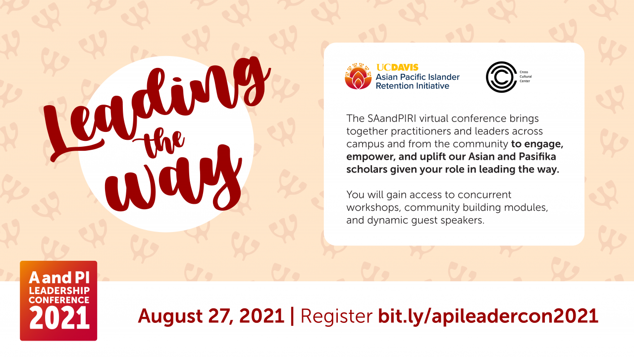 AandPI Conference Flyer