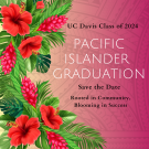 Pink background with red hibiscus flowers on the left side with the title UC Davis Class of 2024 Pacific Islander Graduation